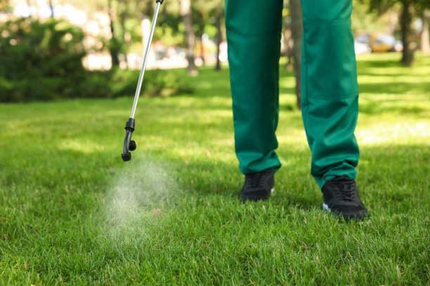 Best Pest Control Near Me  in Hideo, UT