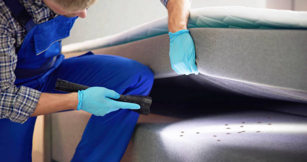 Best Rat Extermination Near Me  in Hideo, UT