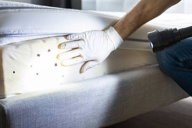 Best Best Pest Control Near Me  in Hideo, UT
