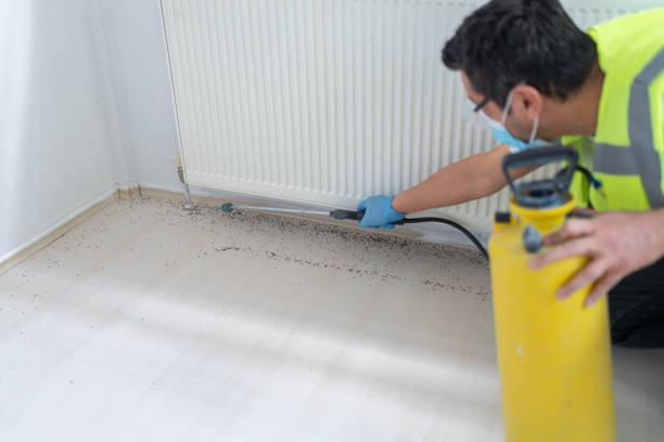 Best Best Pest Control Companies  in Hideo, UT
