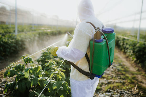 Best Pest Prevention Services  in Hideo, UT
